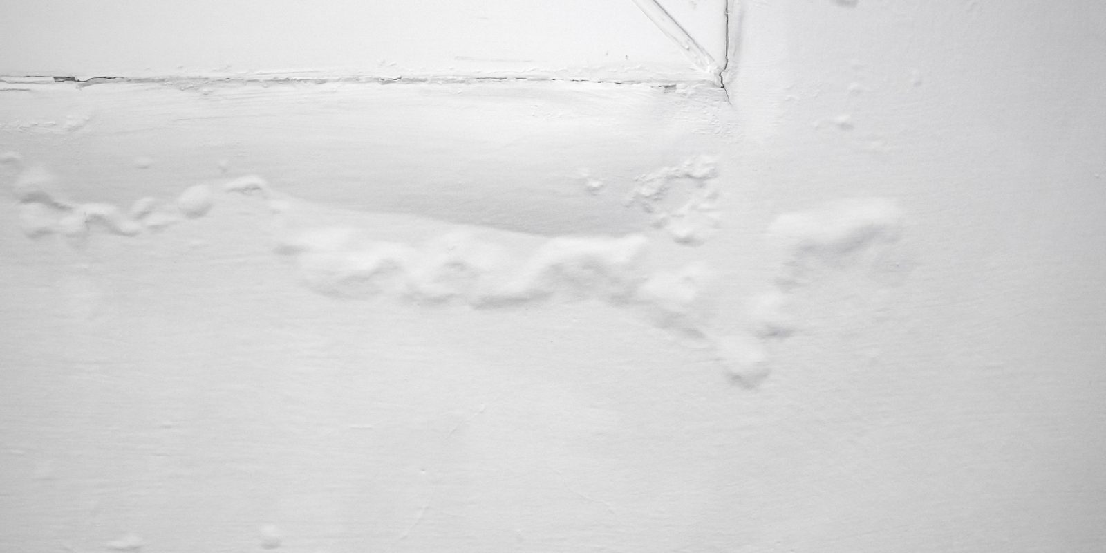 Hidden Moisture Can Remain Beneath a Roof Even When the Surface Appears Dry
